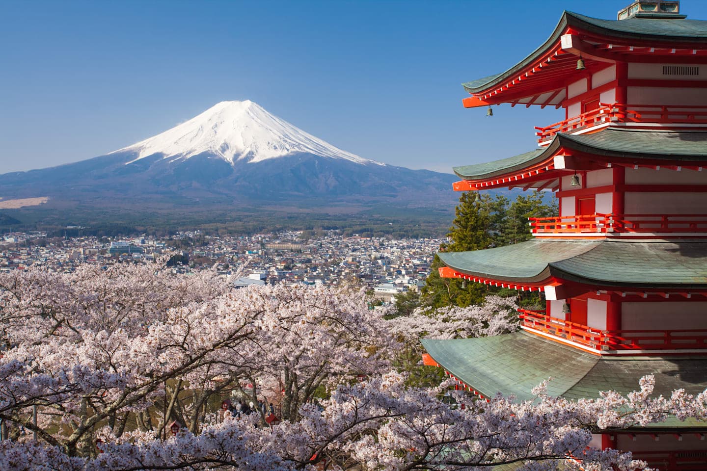 Full-day tour to Mt Fuji thumbnail