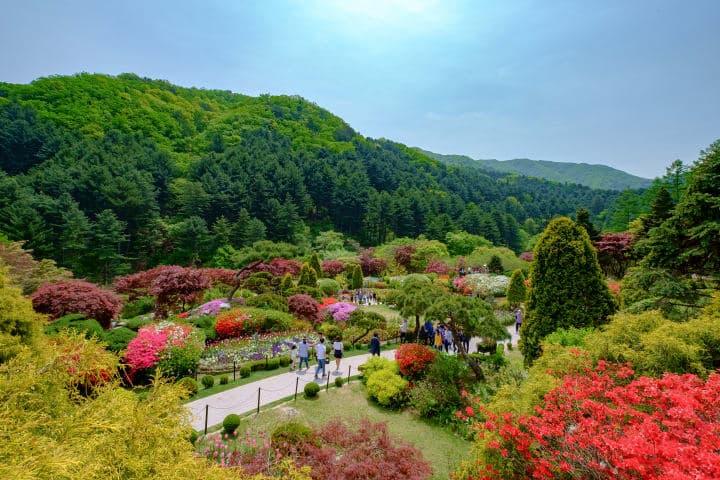 Petite France, Nami Island and the Garden of Morning Calm thumbnail