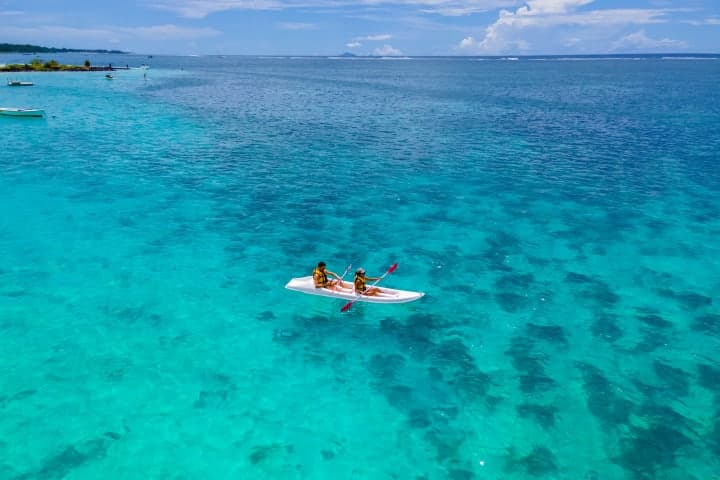 Sunrise kayak tour with dolphins thumbnail