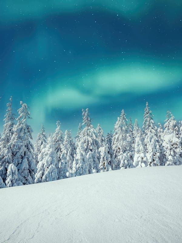 Trip card background image