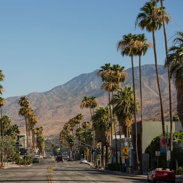New York and California: Road trip dreams and national wonders